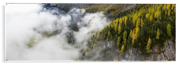 Alpine Forest mist Acrylic by Sonny Ryse