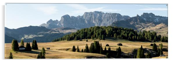 Alpe di Siusi Seiser Alm Gruppo del Catinaccio Alpine meadow Ita Acrylic by Sonny Ryse
