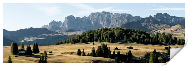 Alpe di Siusi Seiser Alm Gruppo del Catinaccio Alpine meadow Ita Print by Sonny Ryse