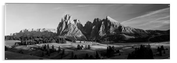 Alp di Suisse Seiser Alm Aline Meadow Sassopiatto talian Alps Do Acrylic by Sonny Ryse