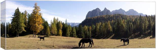 Horses and the Alpine forest in the Italian Alps Canvas Print by Sonny Ryse