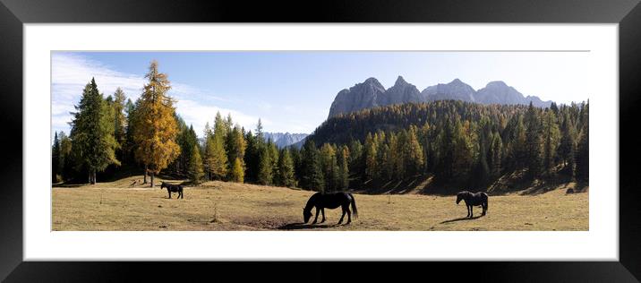 Horses and the Alpine forest in the Italian Alps Framed Mounted Print by Sonny Ryse