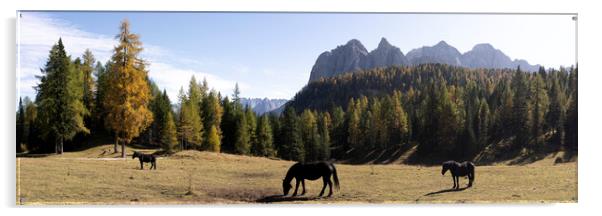 Horses and the Alpine forest in the Italian Alps Acrylic by Sonny Ryse