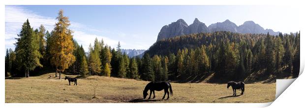 Horses and the Alpine forest in the Italian Alps Print by Sonny Ryse