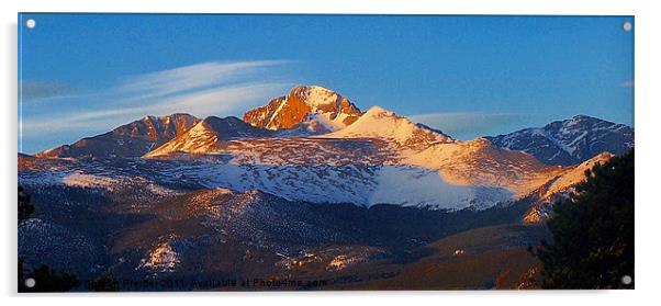 A Longs Peak Morning Acrylic by Sharon Pfeiffer