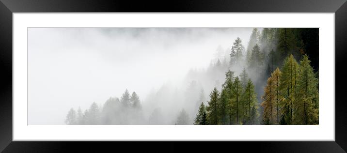 Misty alpine forest italian alps Framed Mounted Print by Sonny Ryse