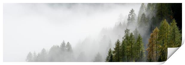 Misty alpine forest italian alps Print by Sonny Ryse