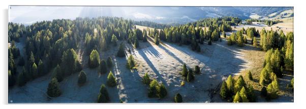 Seiser Alm trees drone DJI_0677-Pano-Edit Acrylic by Sonny Ryse