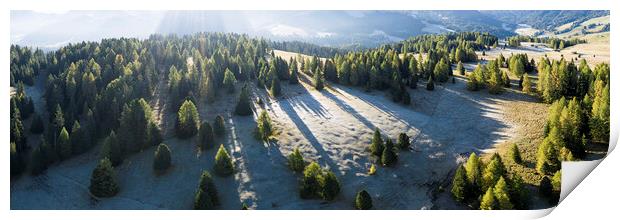 Seiser Alm trees drone DJI_0677-Pano-Edit Print by Sonny Ryse