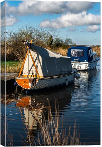 River Thurne, Norfolk Broads Canvas Print by Chris Yaxley