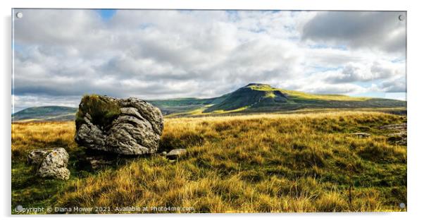 Ingleborough peak Yorkshire Dales Acrylic by Diana Mower