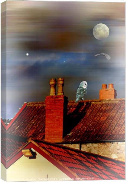 Rooftop Buddies Canvas Print by Heather Goodwin