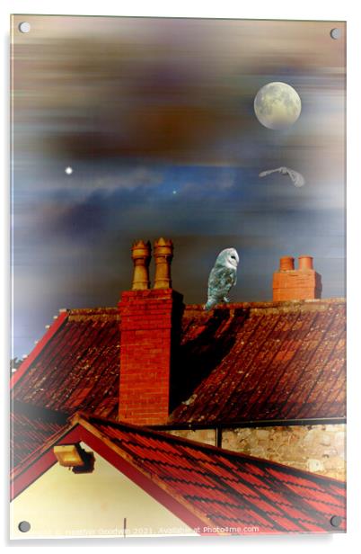 Rooftop Buddies Acrylic by Heather Goodwin