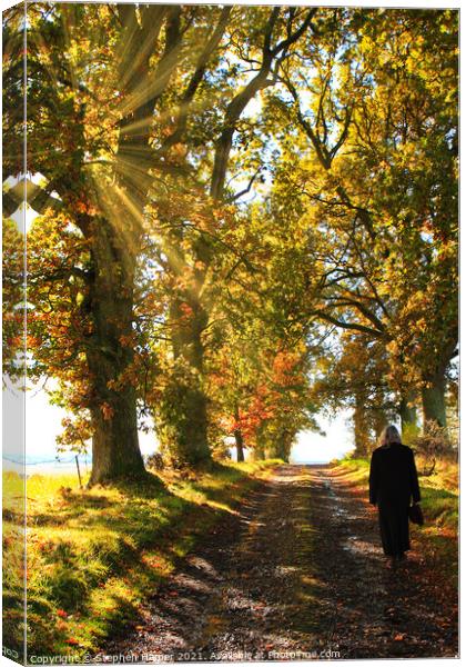 Autumn Morning Walk Canvas Print by Stephen Hamer
