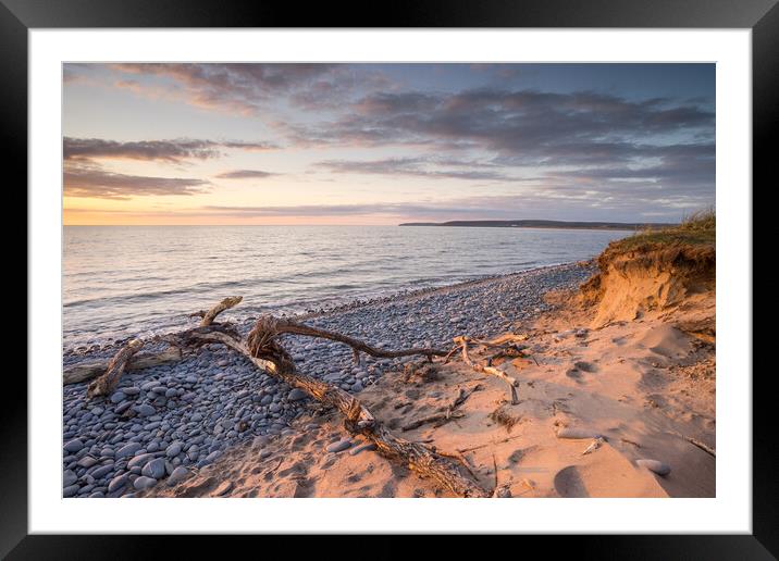 Sunset driftwood Framed Mounted Print by Tony Twyman