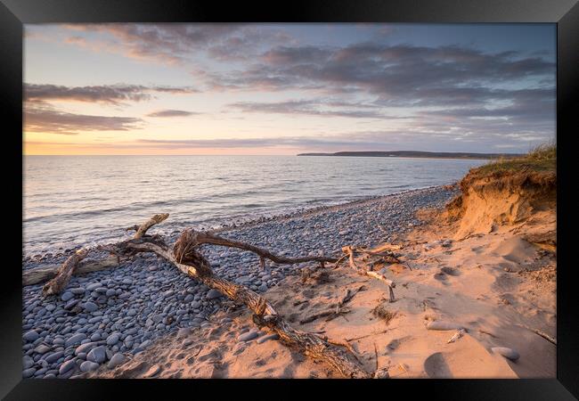 Sunset driftwood Framed Print by Tony Twyman