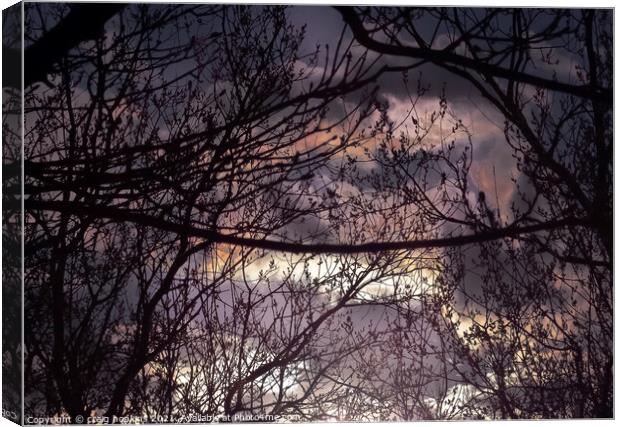Abstract sunset through the trees Canvas Print by craig hopkins