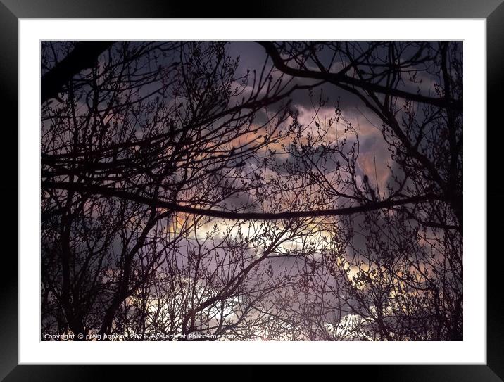 Abstract sunset through the trees Framed Mounted Print by craig hopkins