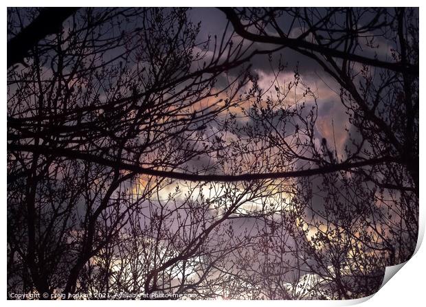 Abstract sunset through the trees Print by craig hopkins