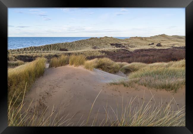 Formby sand dunes seascape Framed Print by Jason Wells