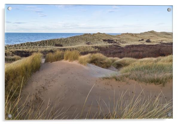 Formby sand dunes seascape Acrylic by Jason Wells