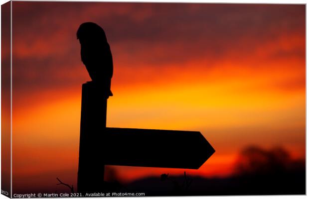 Barn owl sunrise Canvas Print by Martin Cole