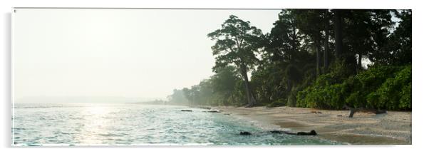 Beautiful Neil Island beach Andoman Islands Acrylic by Sonny Ryse