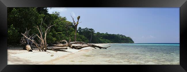 Havelock Island Elephant beach Andamans 2 Framed Print by Sonny Ryse