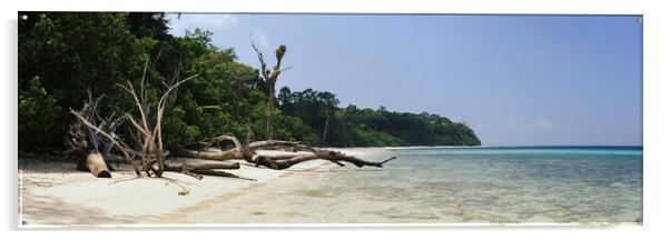 Havelock Island Elephant beach Andamans 2 Acrylic by Sonny Ryse