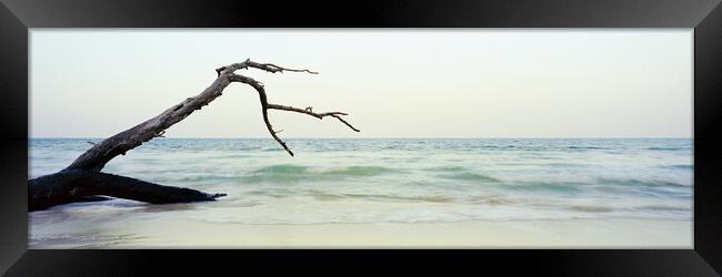 Havelock Island Beach Andamans Framed Print by Sonny Ryse