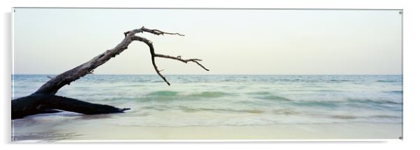 Havelock Island Beach Andamans Acrylic by Sonny Ryse