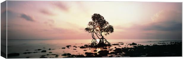 Havelock Island Mangrove Sunrise Andamans Canvas Print by Sonny Ryse