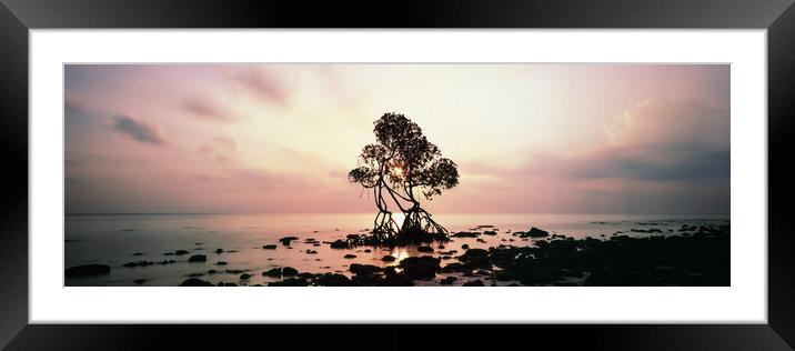 Havelock Island Mangrove Sunrise Andamans Framed Mounted Print by Sonny Ryse