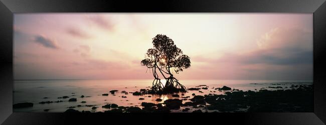Havelock Island Mangrove Sunrise Andamans Framed Print by Sonny Ryse