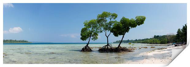 Havelock Island Mangroves Andamans 2 Print by Sonny Ryse