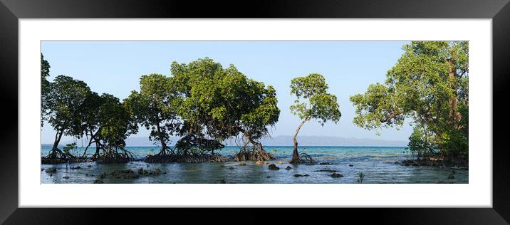 Havelock Island Mangroves Andamans Framed Mounted Print by Sonny Ryse