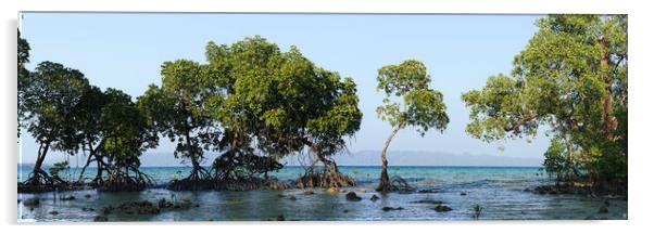 Havelock Island Mangroves Andamans Acrylic by Sonny Ryse