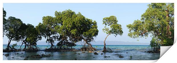 Havelock Island Mangroves Andamans Print by Sonny Ryse