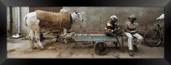 Old Delhi Street scene and cow india Framed Print by Sonny Ryse