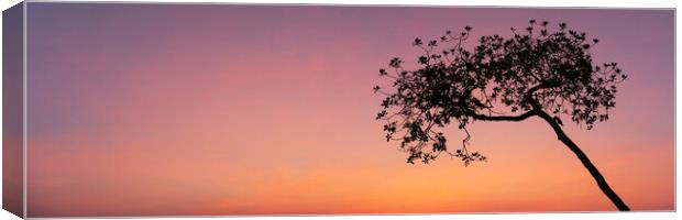 Sunrise Tree Canvas Print by Sonny Ryse