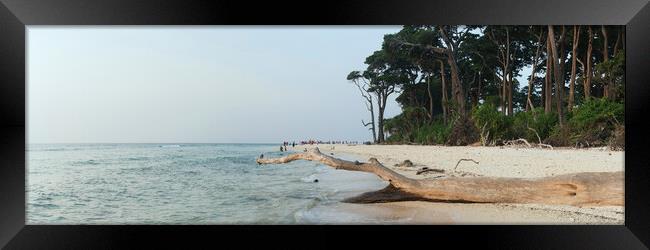 Neil Island Lakshmanpur Beach Andamans Framed Print by Sonny Ryse