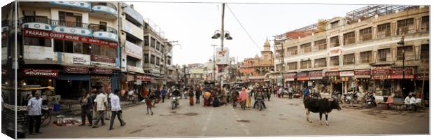Varanasi street scene india with cows 2 Canvas Print by Sonny Ryse