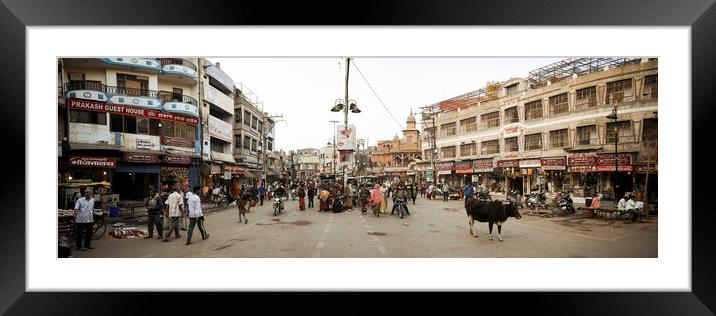 Varanasi street scene india with cows 2 Framed Mounted Print by Sonny Ryse