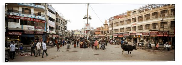 Varanasi street scene india with cows 2 Acrylic by Sonny Ryse