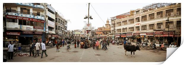 Varanasi street scene india with cows 2 Print by Sonny Ryse