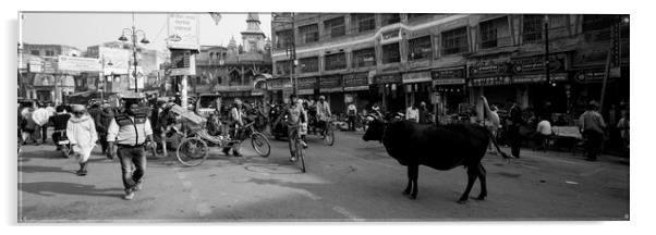 Varanasi street scene india with cows Black and white Acrylic by Sonny Ryse
