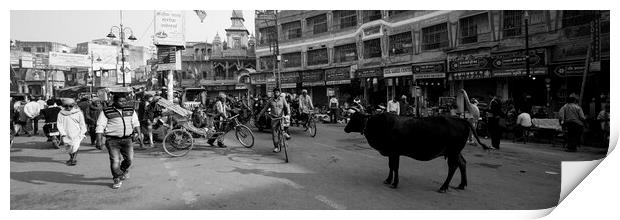 Varanasi street scene india with cows Black and white Print by Sonny Ryse
