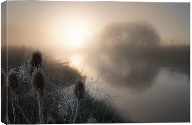 Spring Frost on the Dorset Stour Canvas Print by David Neighbour