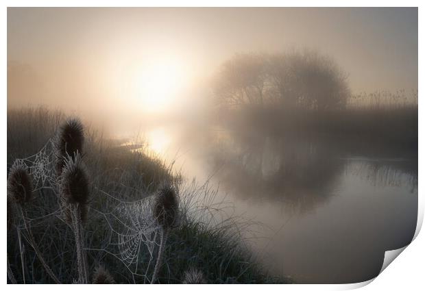 Spring Frost on the Dorset Stour Print by David Neighbour