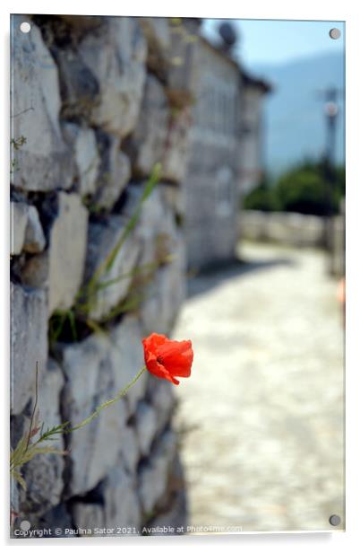 Red poppy flower on the castle rock   Acrylic by Paulina Sator